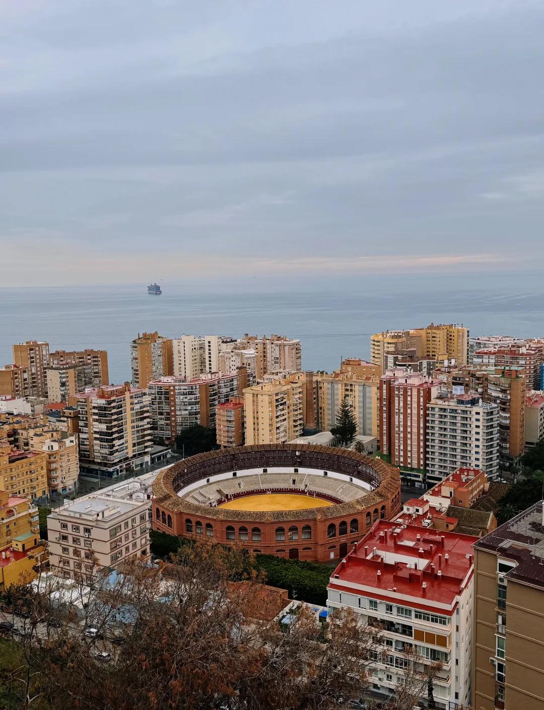 开云体育在线-瓦伦西亚主场力克马拉加,取得胜利的简单介绍