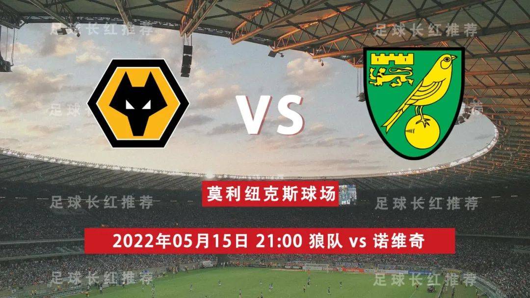 包含诺维奇苦战逼平对手，保级希望依然渺茫的词条