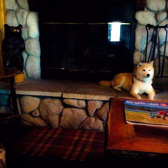 开云体育登录-2026世界杯最大冷门，一支俱乐部如何险胜东道主美国？