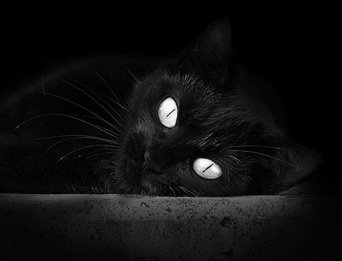 开云体育在线-撕裂宿命之夜，英格拉姆獠牙出鞘，北京队粉碎不败公牛神话