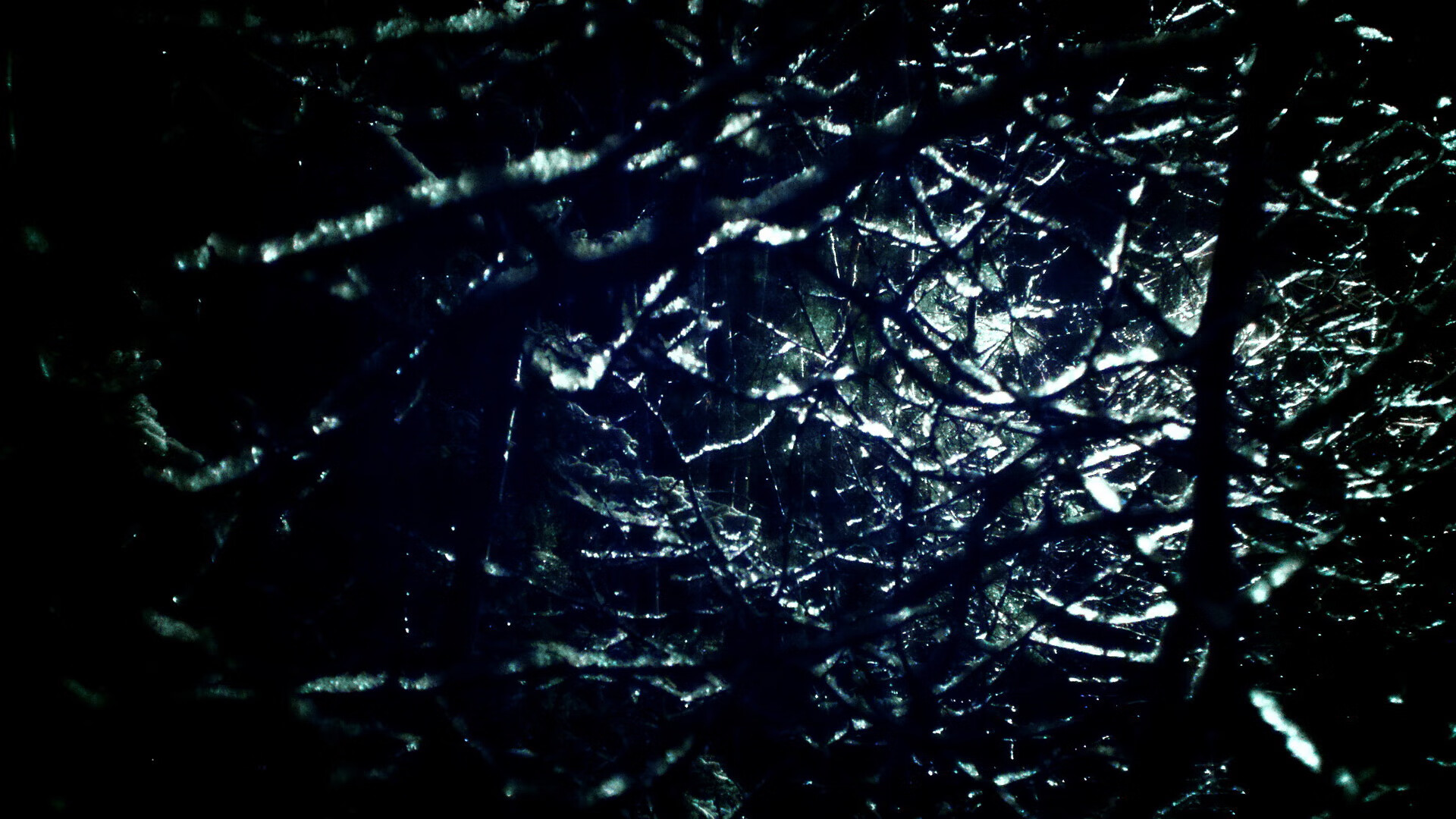 东决之夜,金玟哉,从拼图到基石,冠军心态铸就防线灵魂