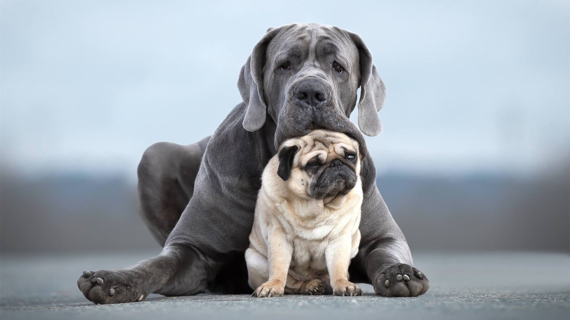 莱奥绝杀闪耀之夜，巴拉圭爆冷终结法国，一场改写命运的对决