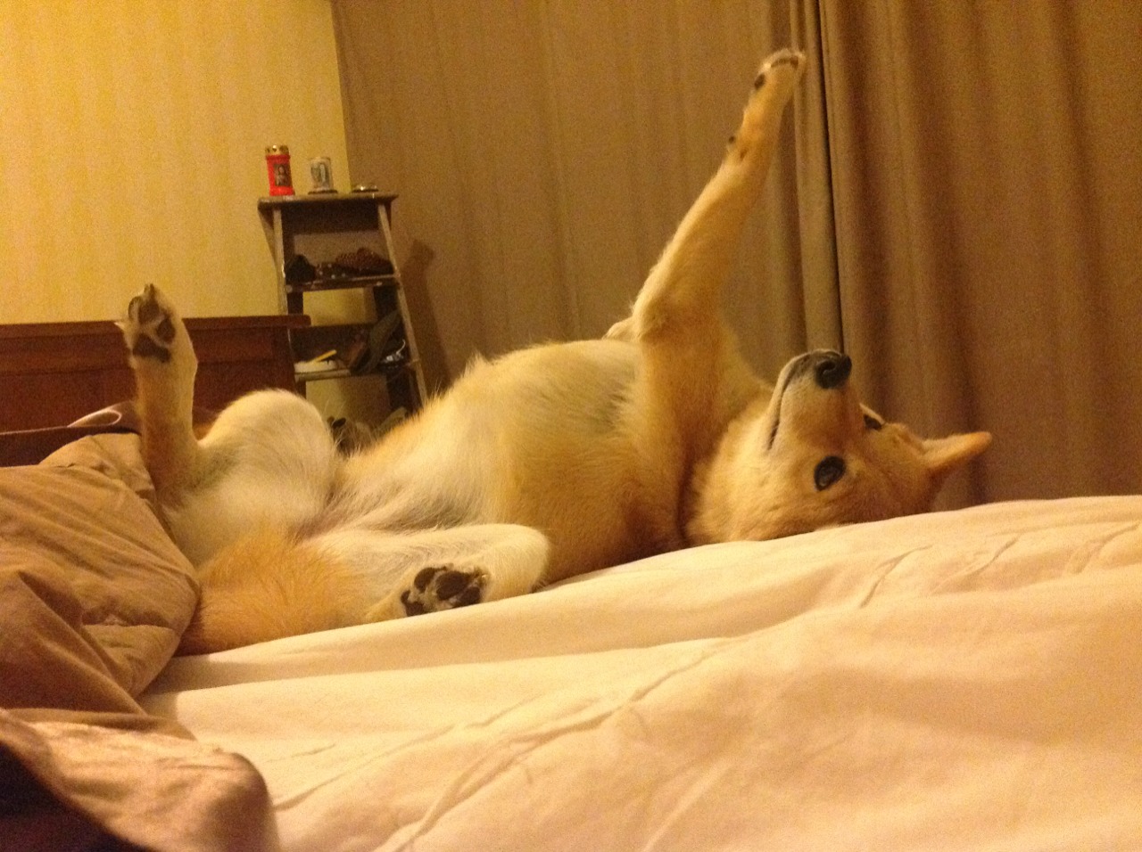 开云-天赋与铁壁，当内马尔的烟花照亮突尼斯人的防线