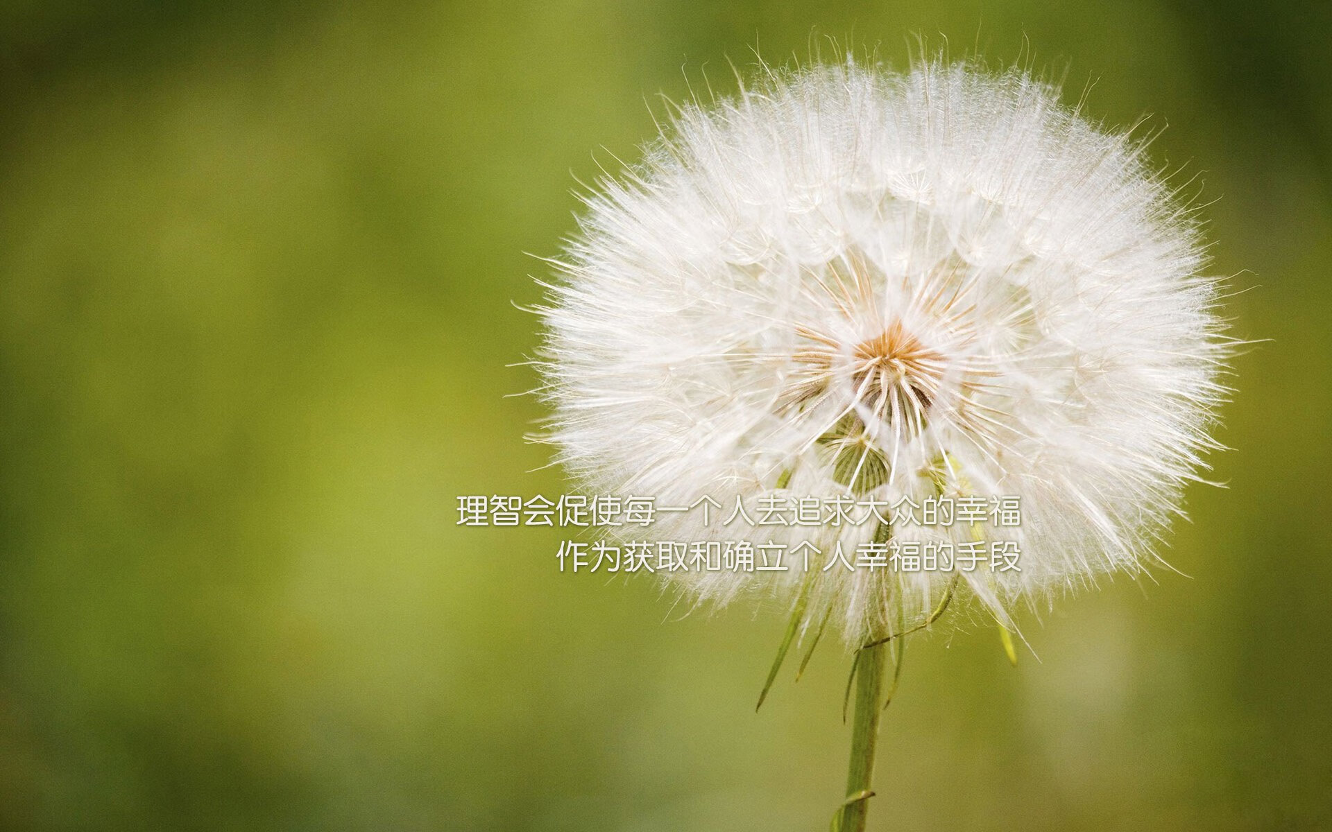 开云官网-体育的爆发力，本泽马、中国男篮与阿森纳的共同启示