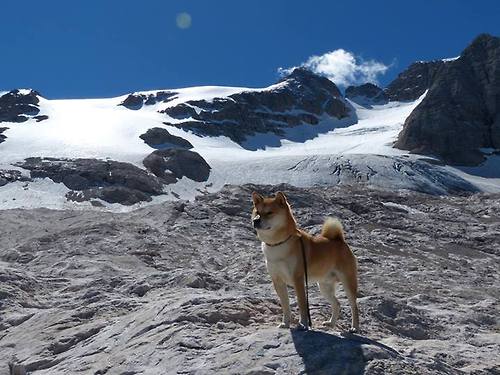 库里引擎轰鸣,篮网绝杀公牛,当不同赛场的剧本同时到达高潮
