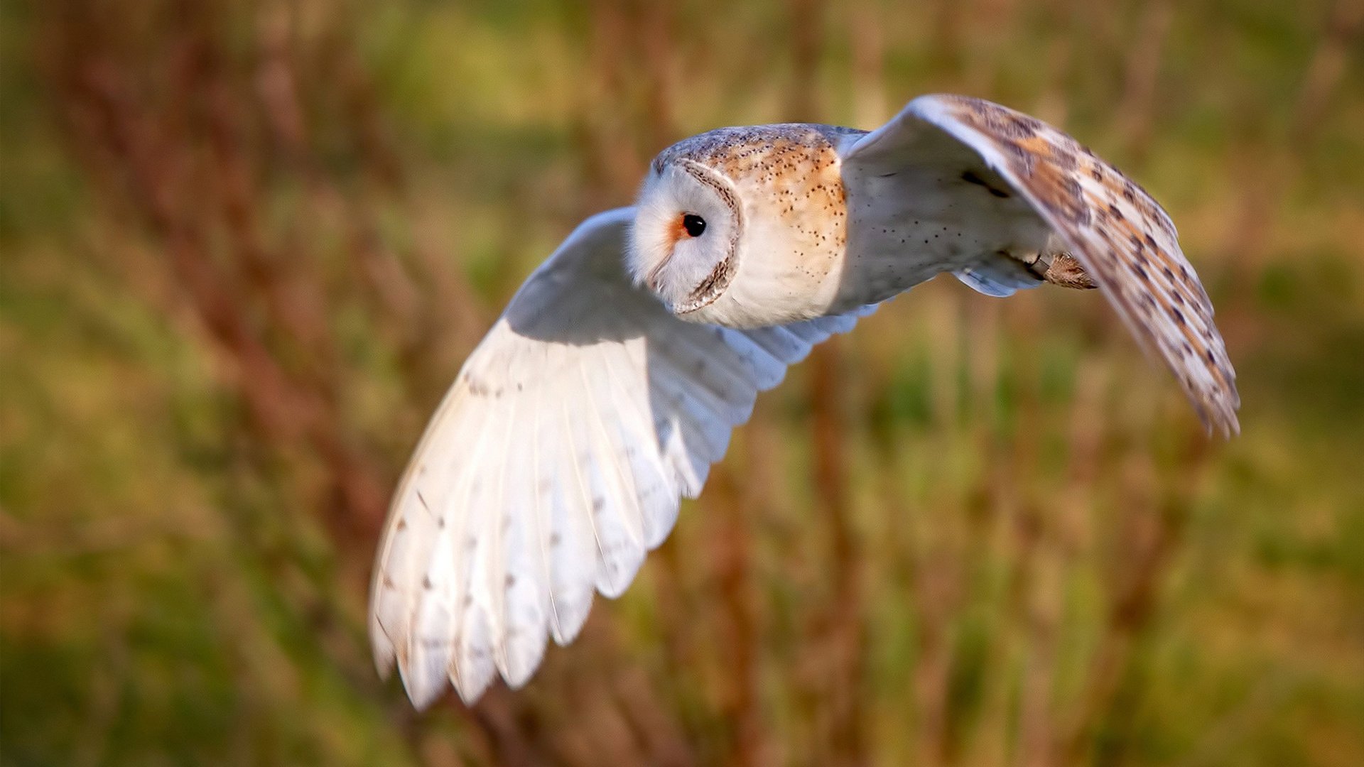 唯一等待天亮的人，金玟哉于无声处证明自己