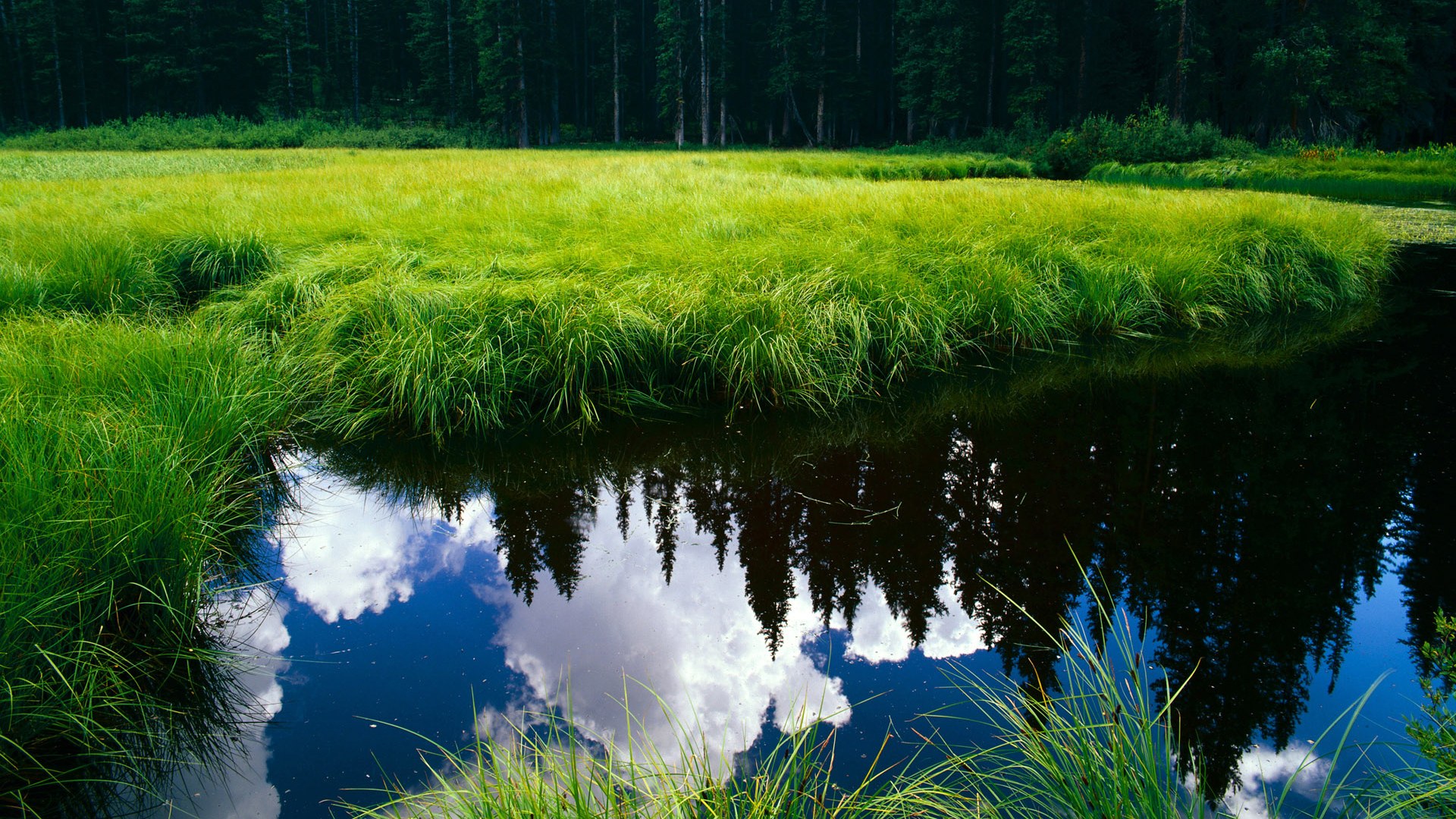 开云体育APP下载-唯一战神，凯恩于年度焦点之战，用魔法改写剧本