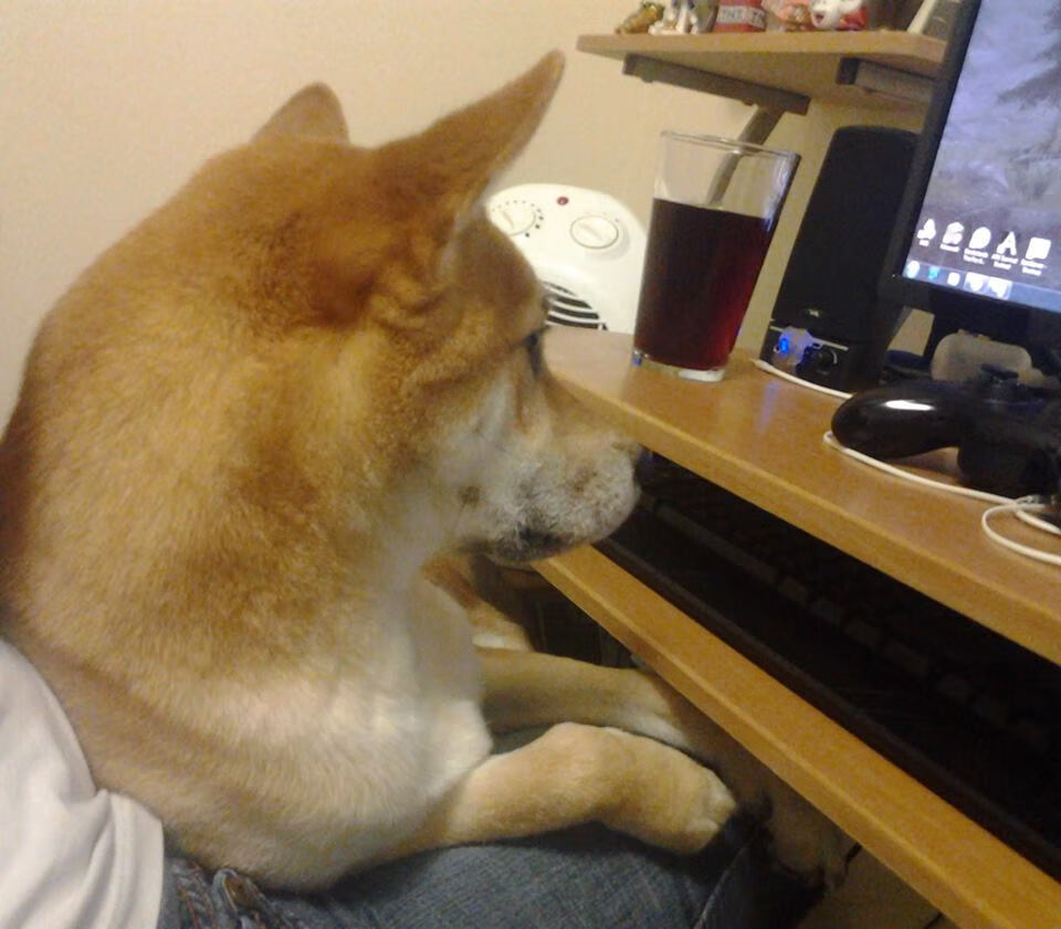 戈贝尔英超加时赛绝杀!勇士爆冷快船竟成英超争冠转折点?