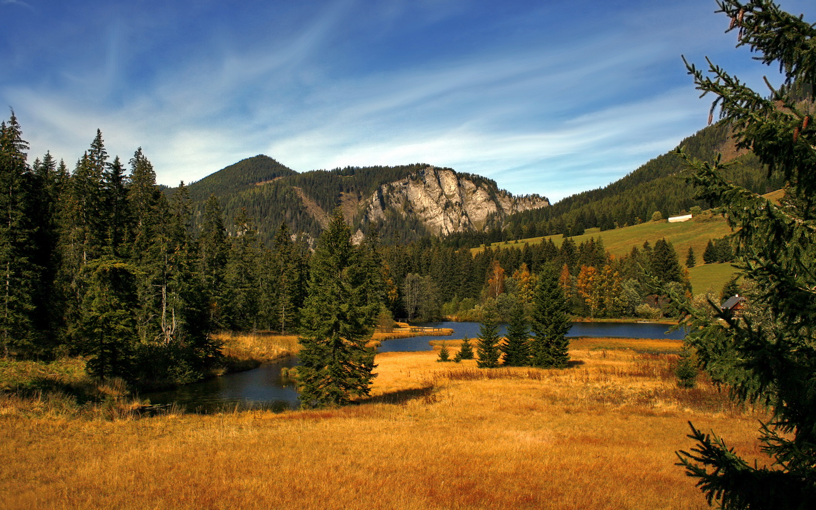 开云体育登录-跨界闪耀，灰熊关键战逆袭雄鹿，班凯罗欧冠决赛主宰赛场