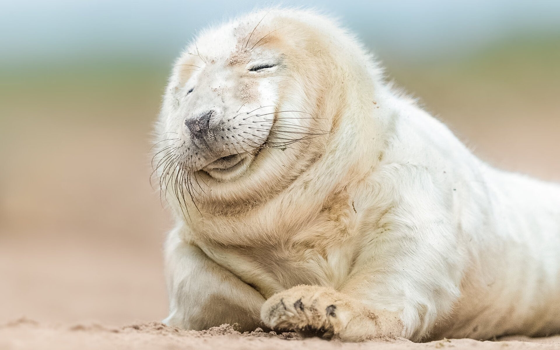 中场指挥官巴雷拉完美控场,阿根廷三球完胜牙买加