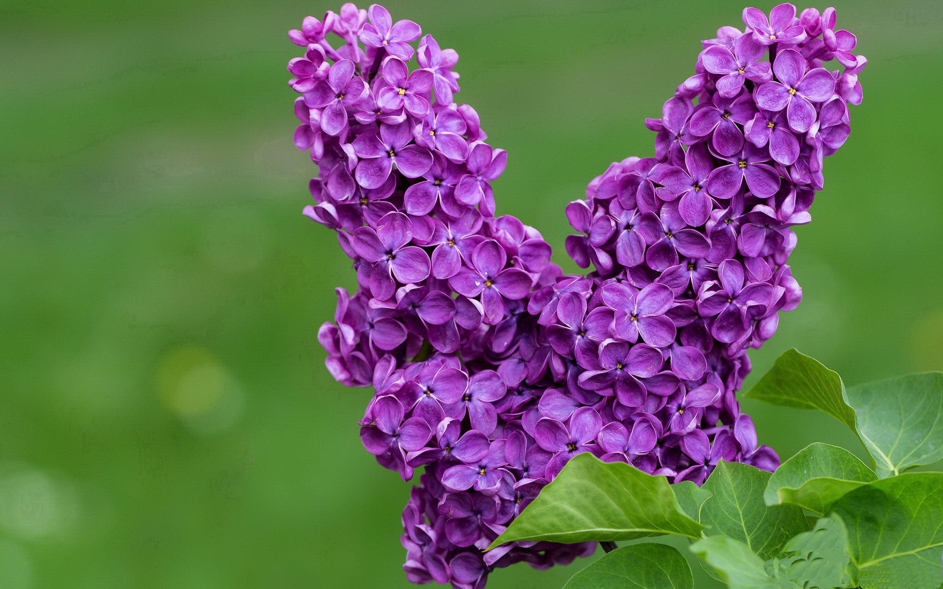 跨越次元的对决，当浙江队遇上掘金，班凯罗点燃赛场