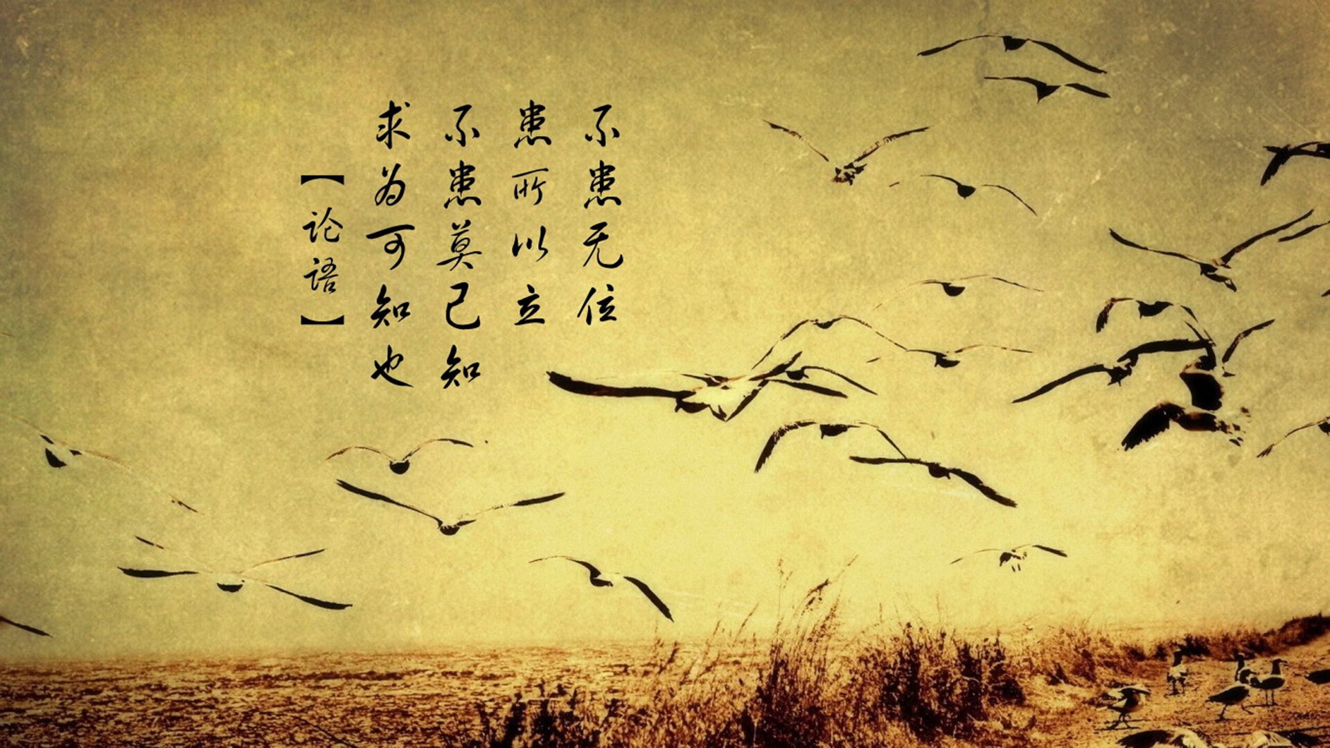 托斯卡纳夜空下的阿根廷魔术，迪马利亚一人导演的跨国交锋