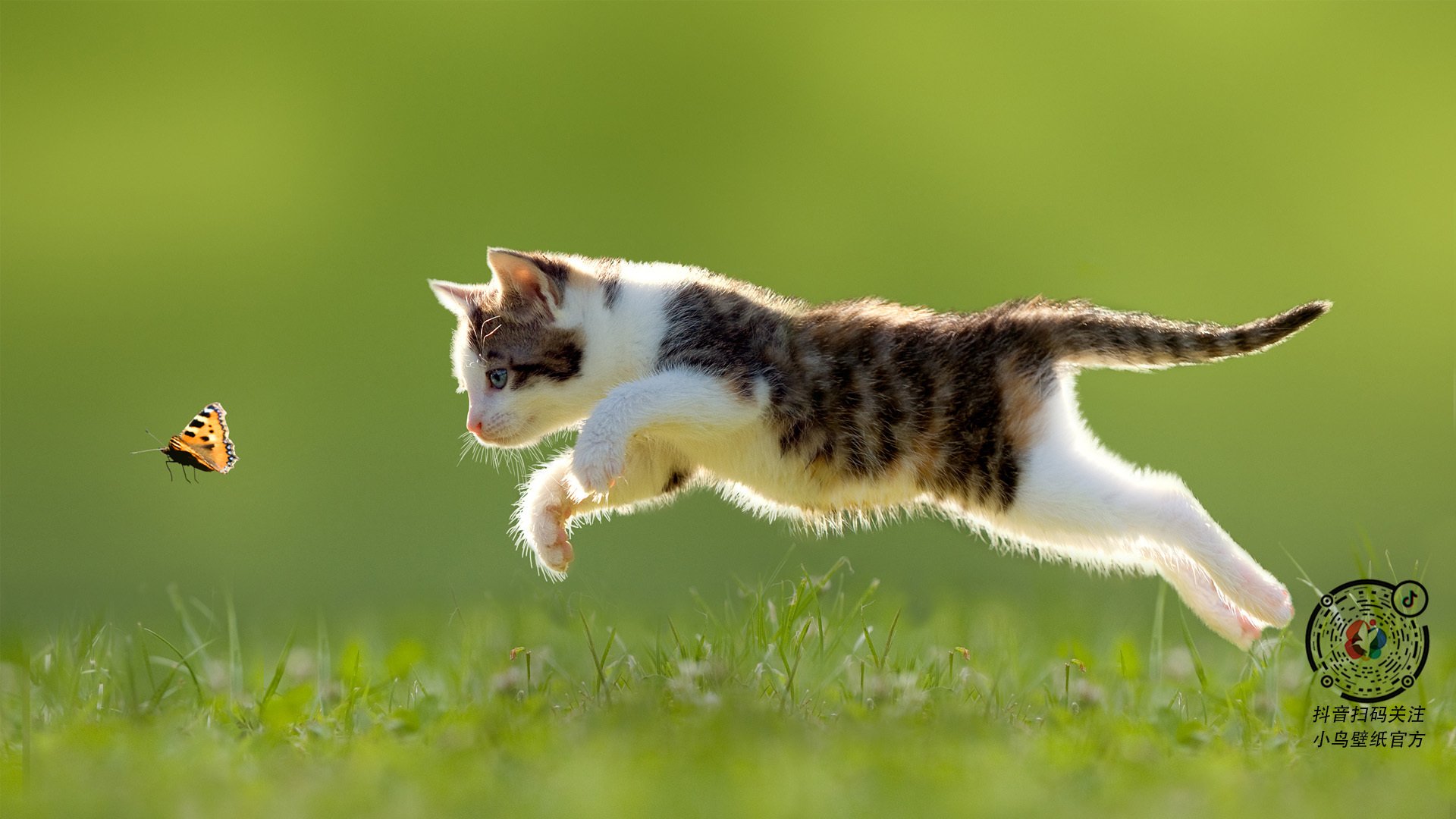 开云体育app-双线战场,爱德华兹无解火力与浙江队高效粉碎战