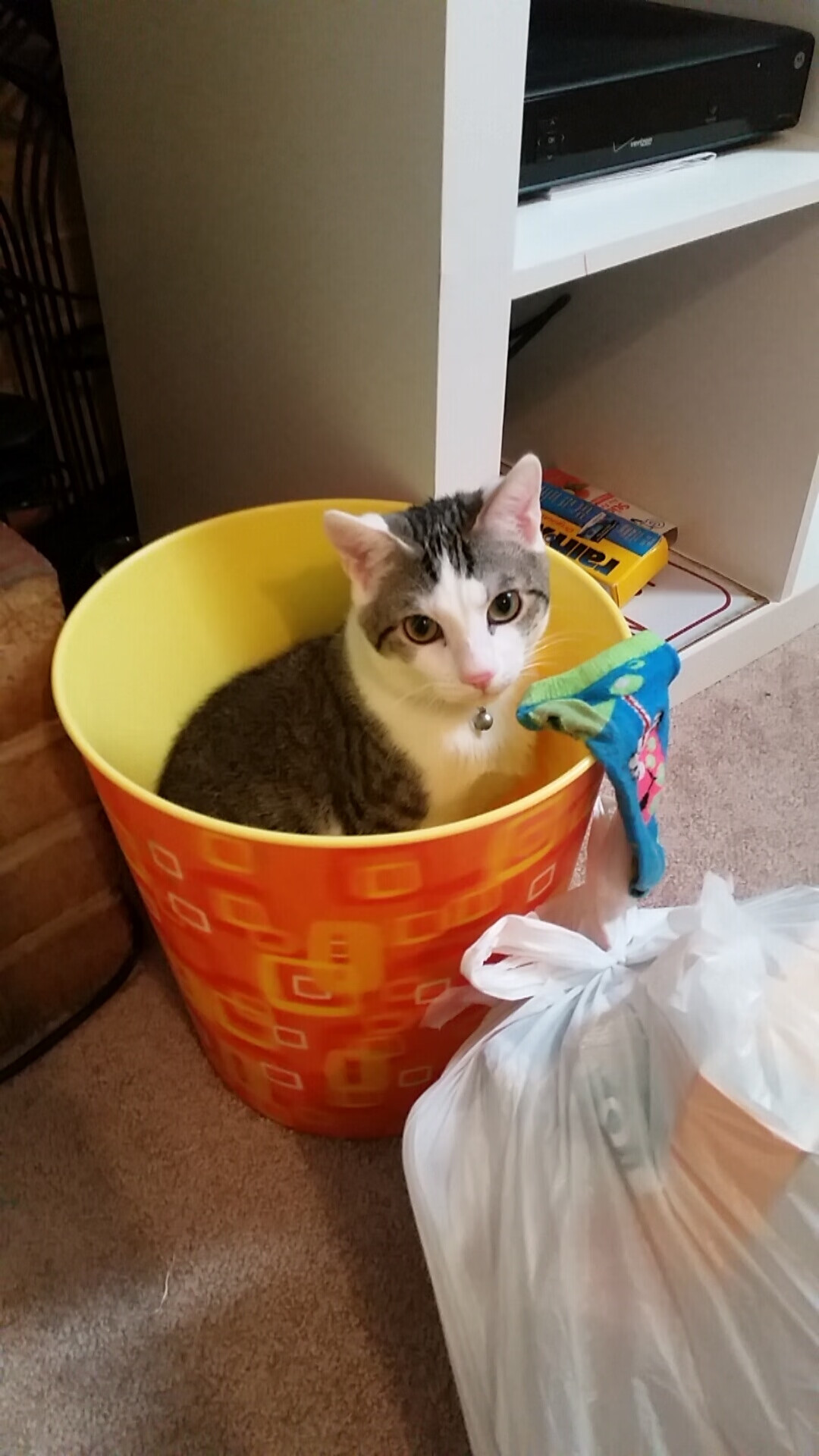 开云-唯一时刻,当京多安的脚踝锁定了C组的命运