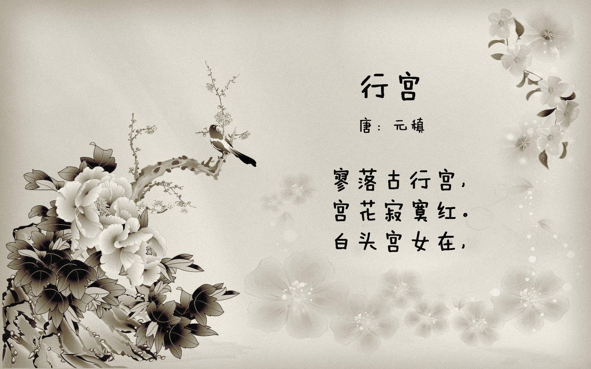 唯此一夜，2026世界杯G组巅峰对决，费利克斯光芒穿透斗牛士之殇